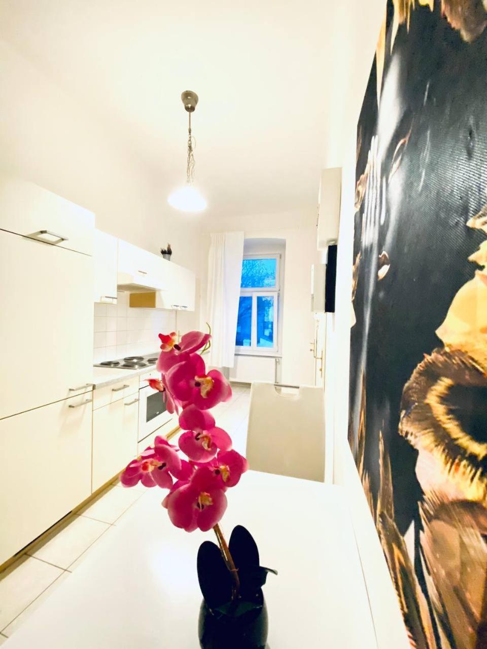 Family Apartment Th8 8 เวียนนา ภายนอก รูปภาพ