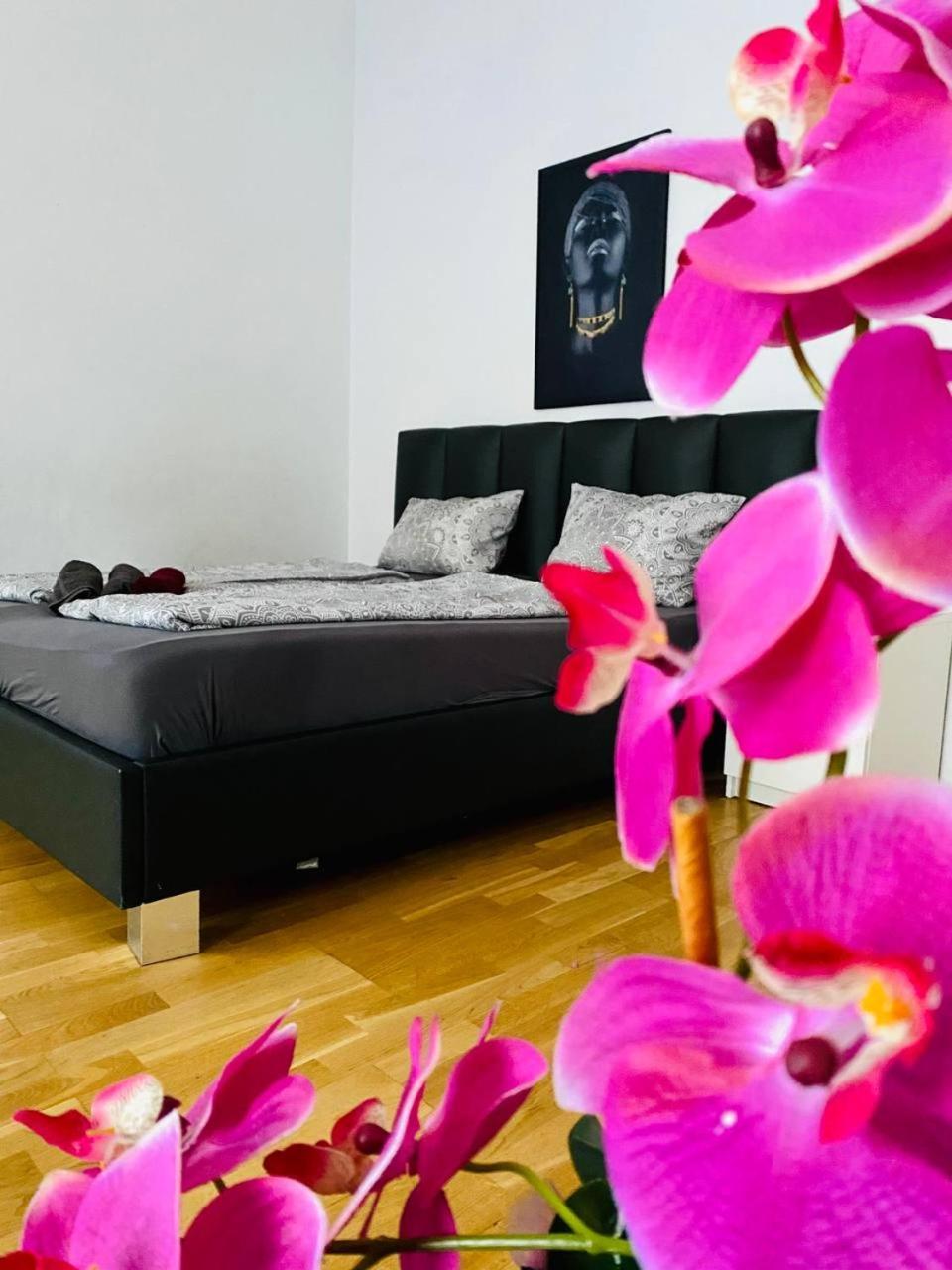 Family Apartment Th8 8 เวียนนา ภายนอก รูปภาพ